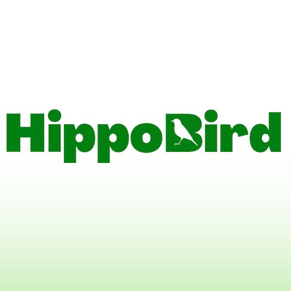Hippo Bird artwork